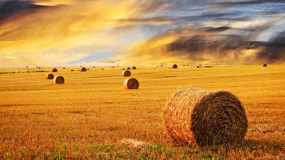 Машиностроительный завод "Радвилишкис