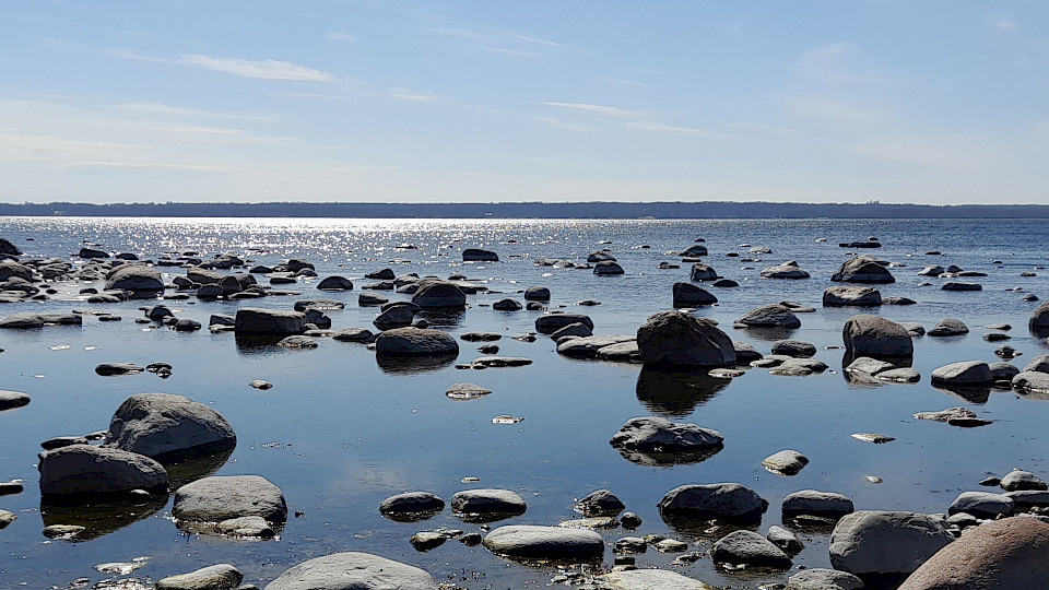 Symposium of Aquatic Microbial Ecology - SAME17