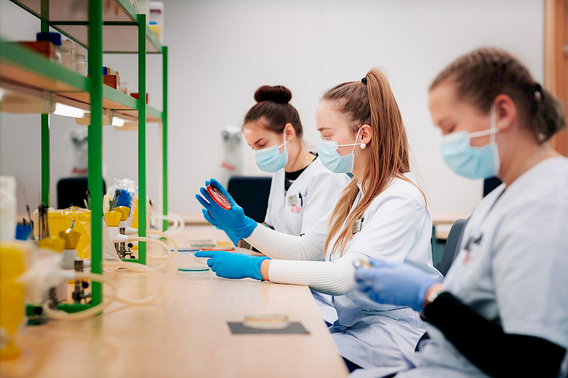 МИКРОРЕМЕСЛА В ТАРТУСКОЙ ШКОЛЕ НАУК О ЗДОРОВЬЕ