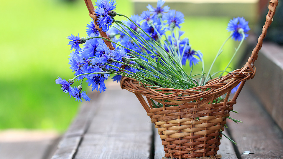 Christelle Cosmetics │ Naturlig kosmetika