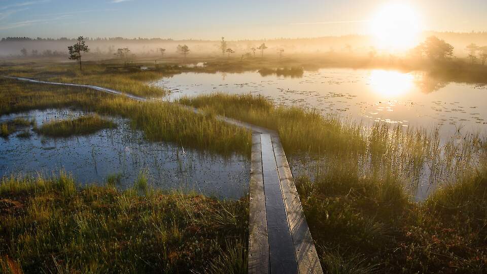 EXCURSION 1: The Soomaa National Park and Kuresoo bog