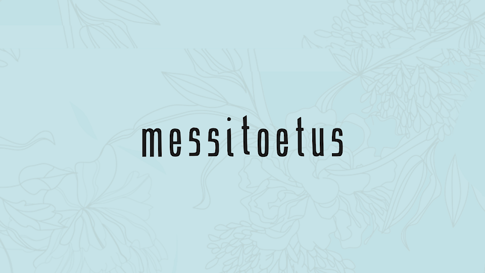 Messitoetus Tallinna ettevõtetele