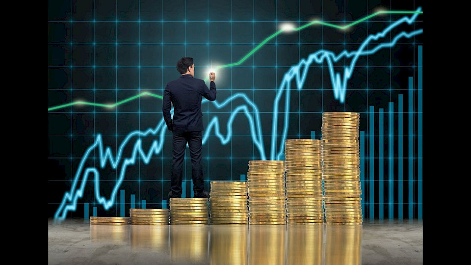 Инвестиционный раздел