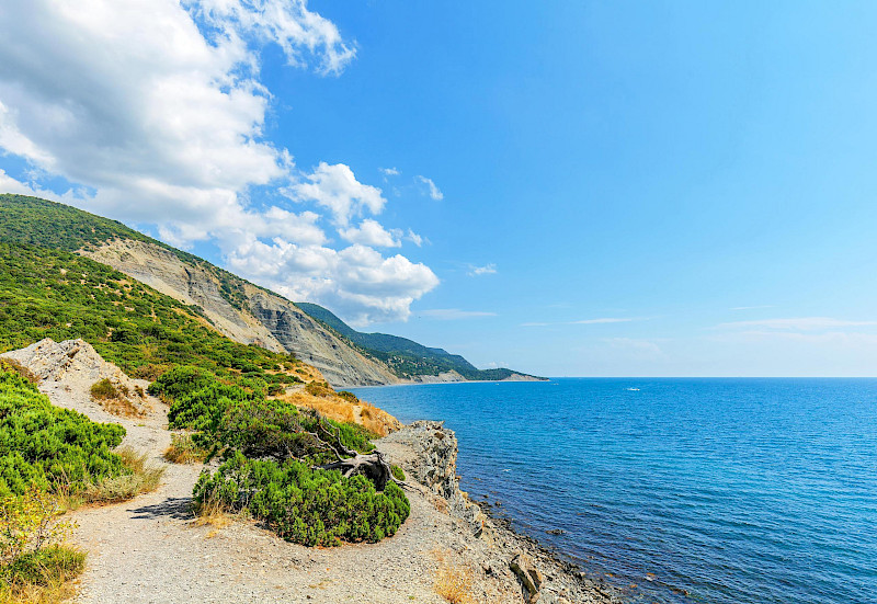 Презентации