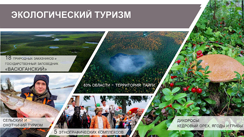 Туристический потенциал Томской области