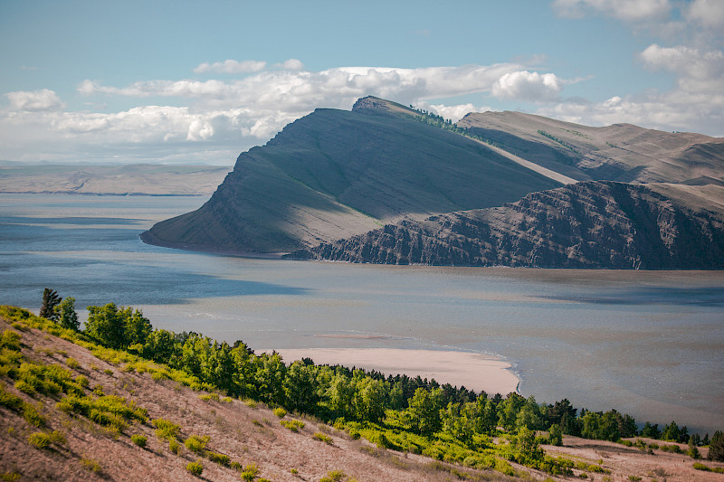 Презентации
