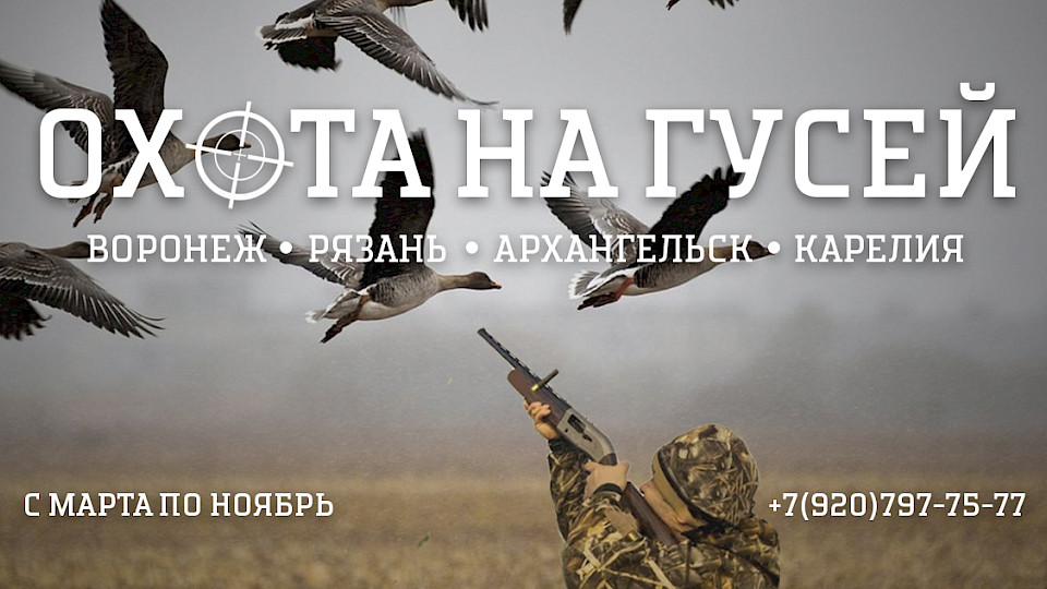 охота на гусей