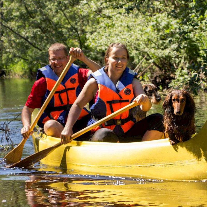 Конкретные специальности для студента-сессионника ВОКАЦИОННОЕ ОБУЧЕНИЕ ДЛЯ ВЗРОСЛЫХ В форме сессионного или рабочего обучения Ваша роль заключается в том, чтобы учиться самостоятельно, усердно работать и закреплять полученные знания, проводя около трех дней в месяц в Луау и применяя их на практике под руководством преподавателя. Обратите внимание, что значительная часть вашего обучения будет приходиться на стажировку, на которую вам нужно будет найти время наряду с основной работой. 	Лесное хозяйство, Таксатор, Арборист, Ландшафтный дизайнер, Гид по туризму, Оператор форвардера, Оператор харвестера, Водитель лесовоза, Садовник-питомник, Специалист по лесному хозяйству, Оценщик деревьев