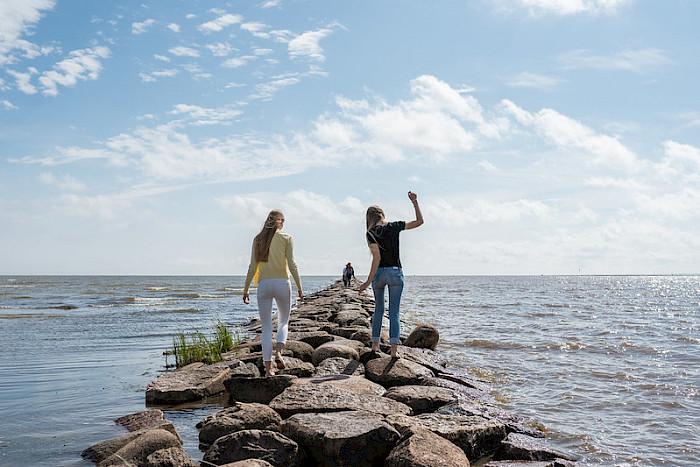 Turismi- ja hotelliettevõtlus