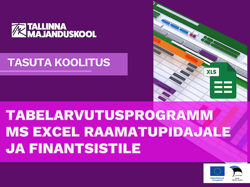 Tabelarvutusprogramm MS Excel raamatupidajale ja finantsistile