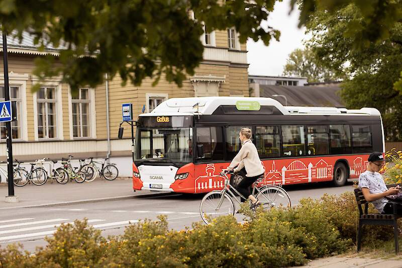 Author: Renee Altrov