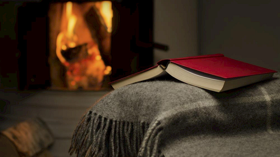 IIZI Kindlustusmaakler