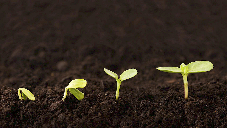 Kodu & Aed Magazine at a Discount!