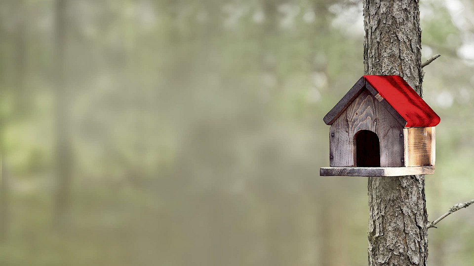 G4S | Small-scale Suriveillance