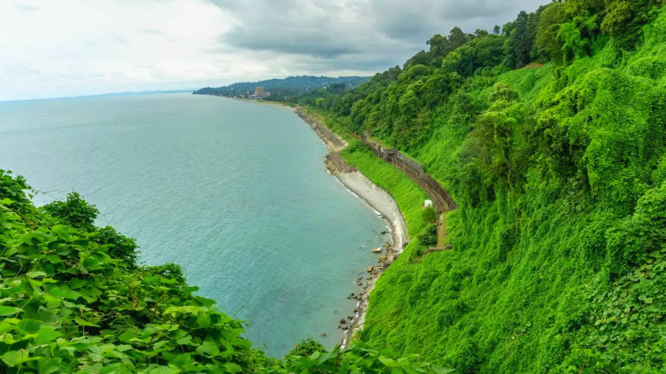 One-Day guided tour | Tour to Batumi Botanical Garden