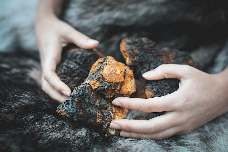 What is the Black Ram?