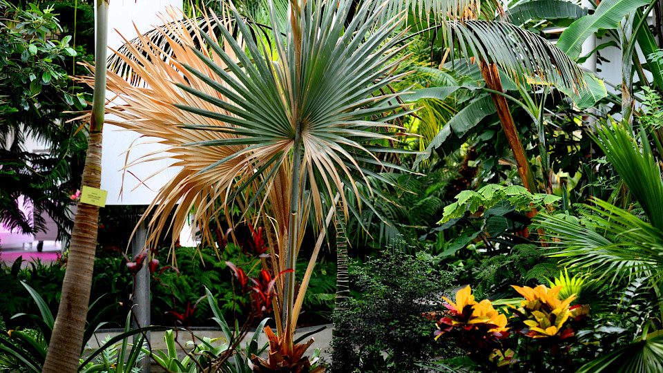 Tallinn Botanic Garden