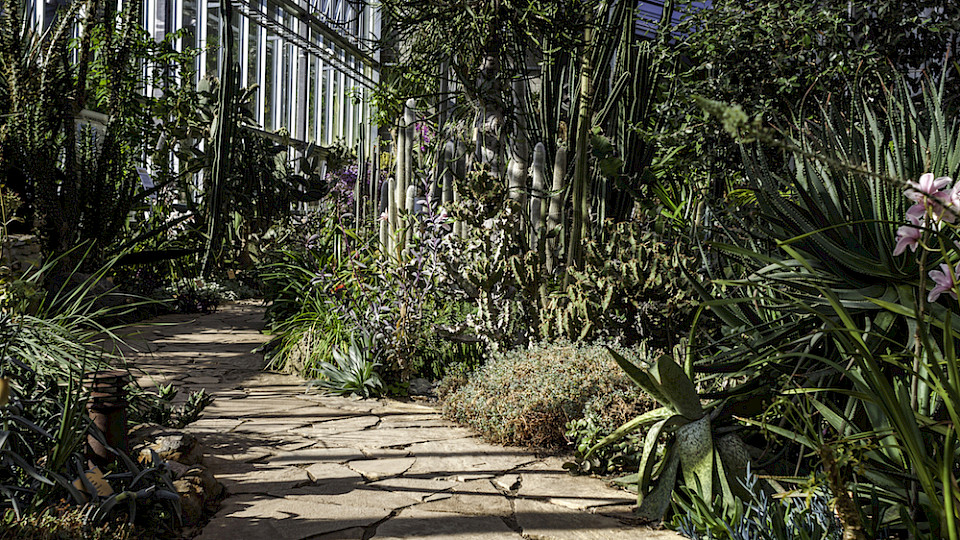 Come to Tallinn's Botanic Garden