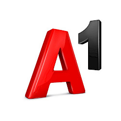 A1