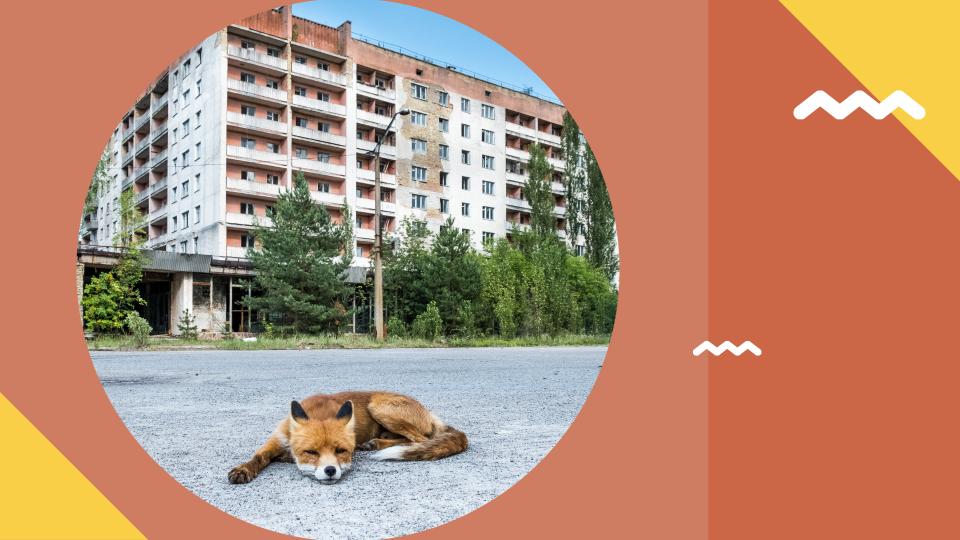 Individual tour to the Chernobyl Exclusion Zone