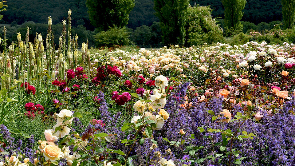 Garden.ee | We make gardens smile!